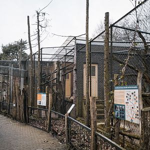 Lion-tailed Macaque outdoor cages