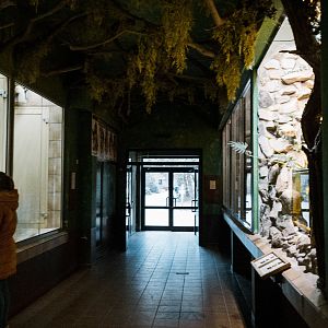 Monkey house general view