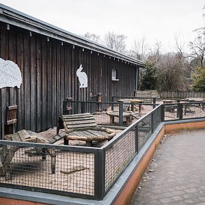 Rabbits and Guinea Pigs