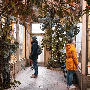 Bird house general view