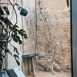 Part of the Weaver indoor area