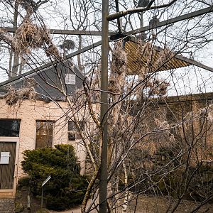 Weaver outdoor aviary