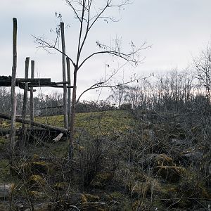 Sloth Bear enclosure 1