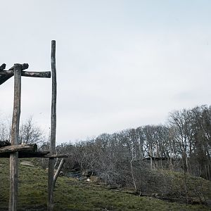Sloth Bear enclosure 1