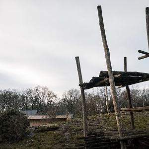 Sloth Bear enclosure 1