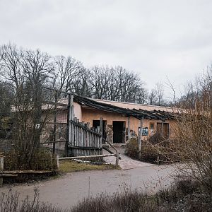 Sloth Bear enclosure 2 / House