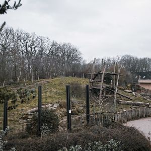 Sloth Bear enclosure 2