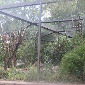 Berlin Tierpark - Australian aviary