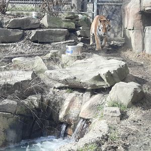 Majestic. Truly no other word for it