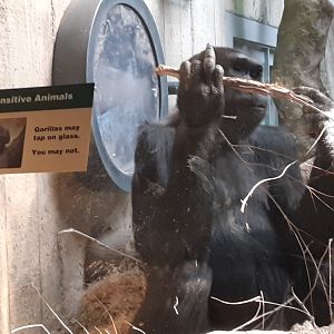 Well no need to be rude