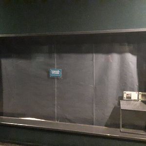 Dwarf Crocodile Exhibit Refurb