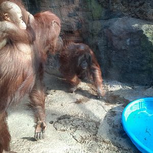 "Oh good, your father's here"