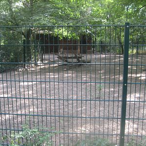 Berlin Tierpark - Bawean deer exhibit