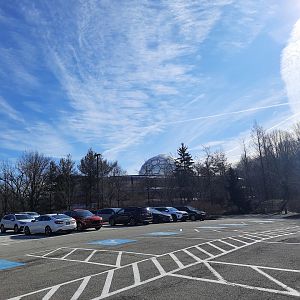 RainForest from the Parking Lot