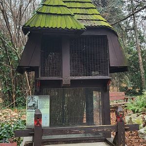 Squirrel House, Budapest Zoo, Hungary.
