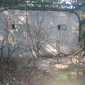 Berlin Tierpark - Children's zoo - Lovebird aviary