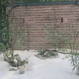 Berlin Tierpark - Children's zoo - Canary aviary