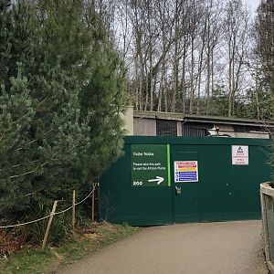 Construction of new building for lions