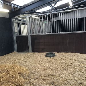 New bongo house (indoor area)