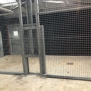New painted dog house (indoor area)