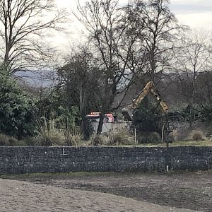 Construction behind African Savannah