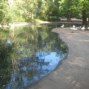 Berlin Tierpark - Children's zoo - Waterfowl pond