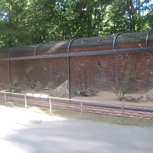 Berlin Tierpark - Children's zoo - Australian aviary