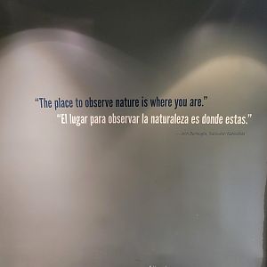 Museum of Life+Science - Carolina Wildlife, quote inside entrance