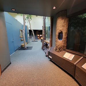 Museum of Life+Science - Carolina Wildlife first look inside doors