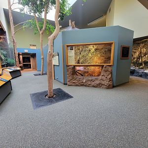 Museum of Life+Science - Carolina Wildlife, former muskrat exhibit, looking back to entrance