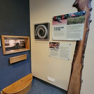 Museum of Life+Science - Carolina Wildlife, snake signage, former copperhead exhibit