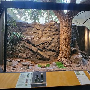 Museum of Life+Science - Carolina Wildlife, Aviary