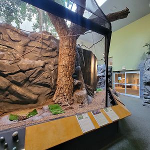 Museum of Life+Science - Carolina Wildlife, Aviary