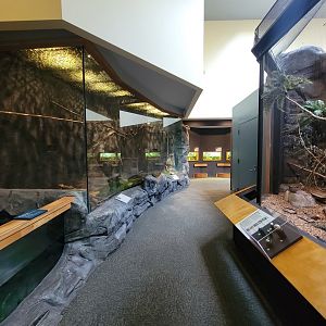 Museum of Life+Science - Carolina Wildlife, Aviaries