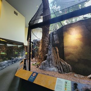 Museum of Life+Science - Carolina Wildlife, Aviaries