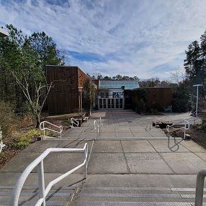 Museum of Life+Science - Magic Wings Butterfly House