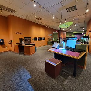 Museum of Life+Science - Magic Wings, Bayer Insectarium from back