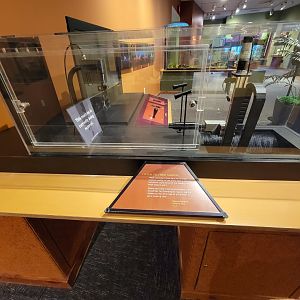 Museum of Life+Science - Magic Wings, normally holds tobacco hornworms