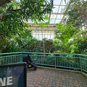 Museum of Life+Science - Magic Wings, inside the butterfly conservatory