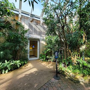 Museum of Life+Science - Magic Wings, looking back at entrance to conservatory