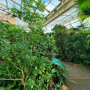 Museum of Life+Science - Magic Wings, butterfly conservatory