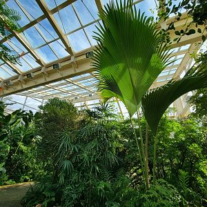 Museum of Life+Science - Magic Wings, butterfly conservatory