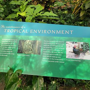 Museum of Life+Science - Magic Wings, butterfly conservatory signage