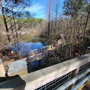 Museum of Life+Science - Boardwalk to outdoor animals