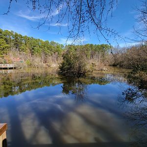 Museum of Life+Science - Marsh