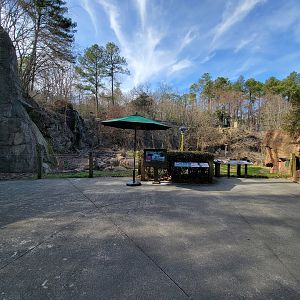 Museum of Life+Science - Black bear viewing #1