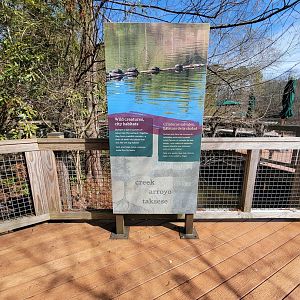 Museum of Life+Science - Wetlands