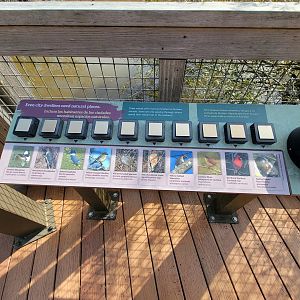 Museum of Life+Science - Wetlands, bird sounds