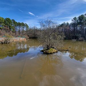 Museum of Life+Science - Wetlands