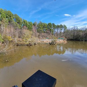 Museum of Life+Science - Wetlands, boardwalk into pond